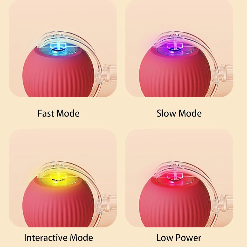 Automatic rolling ball toy for dogs and cats with hanging rope in red colour