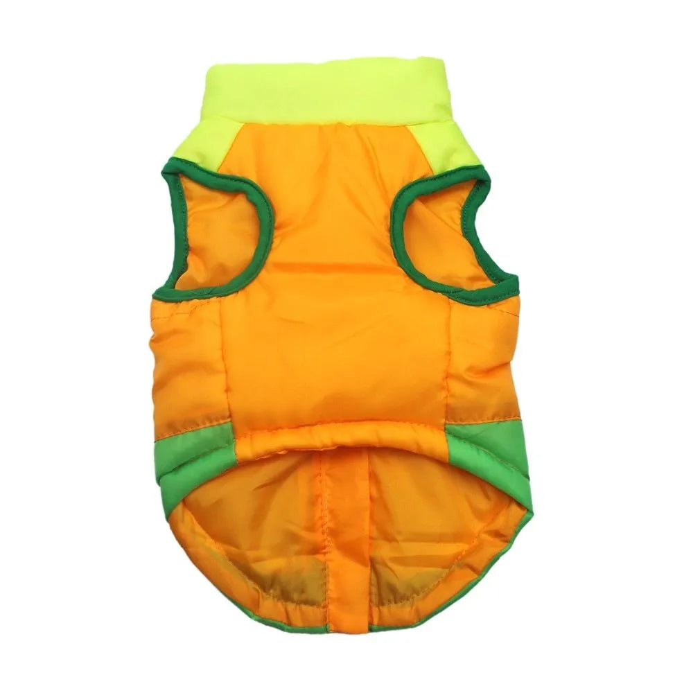 Autumn winter puppy jacket vest with traction buckle in striped pattern for small dogs, available in multiple colours