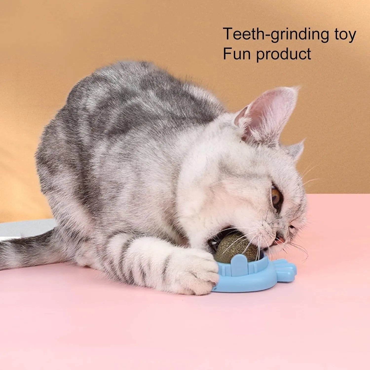 Blue self-adhesive carrot-shaped catnip toy for wall mounting and cat teeth cleaning.