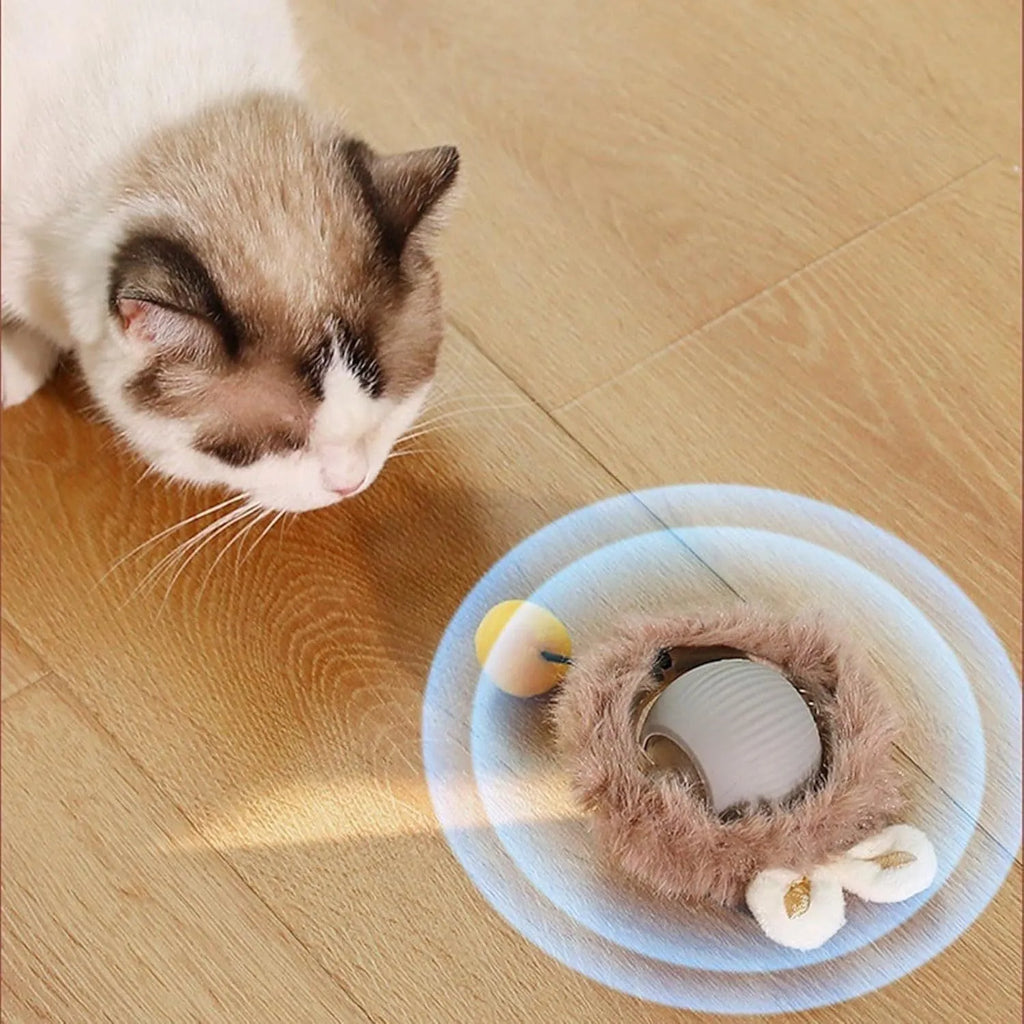 Automatic rotating pet ball toy in grey, green, or red with attached string for interactive cat and dog play