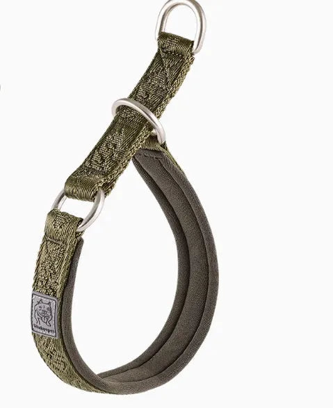Dog P chain walking collar in nylon webbing with aluminium alloy hardware, available in multiple sizes and colours