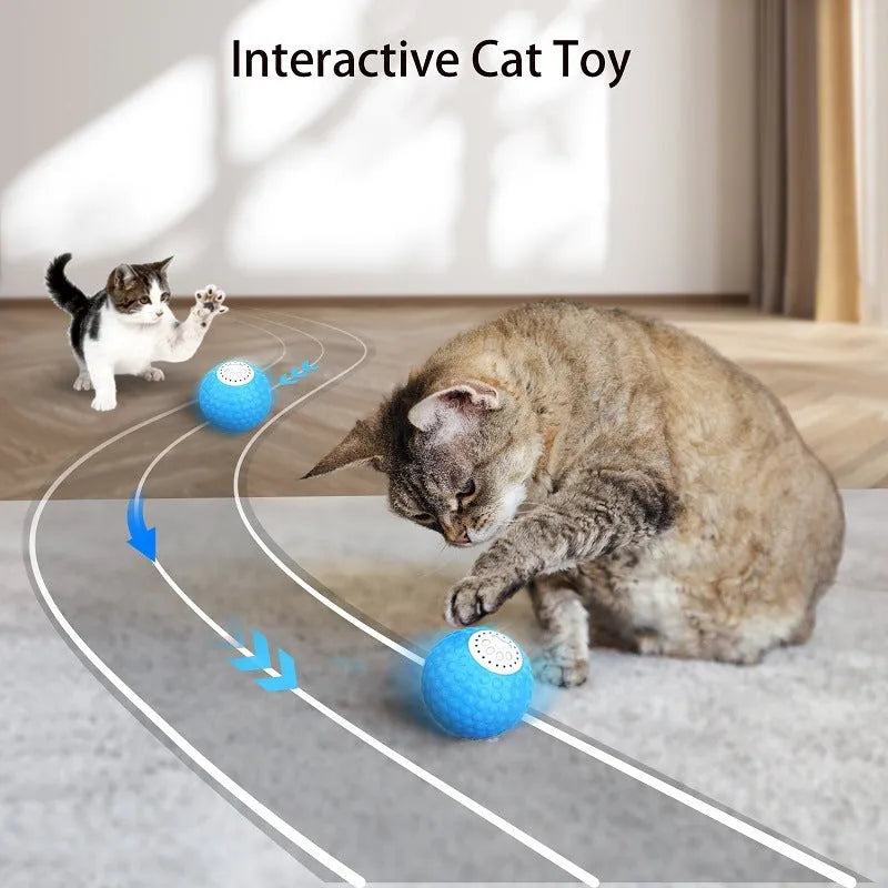 Remote control cat ball toy in blue, green and yellow colours with wireless controller