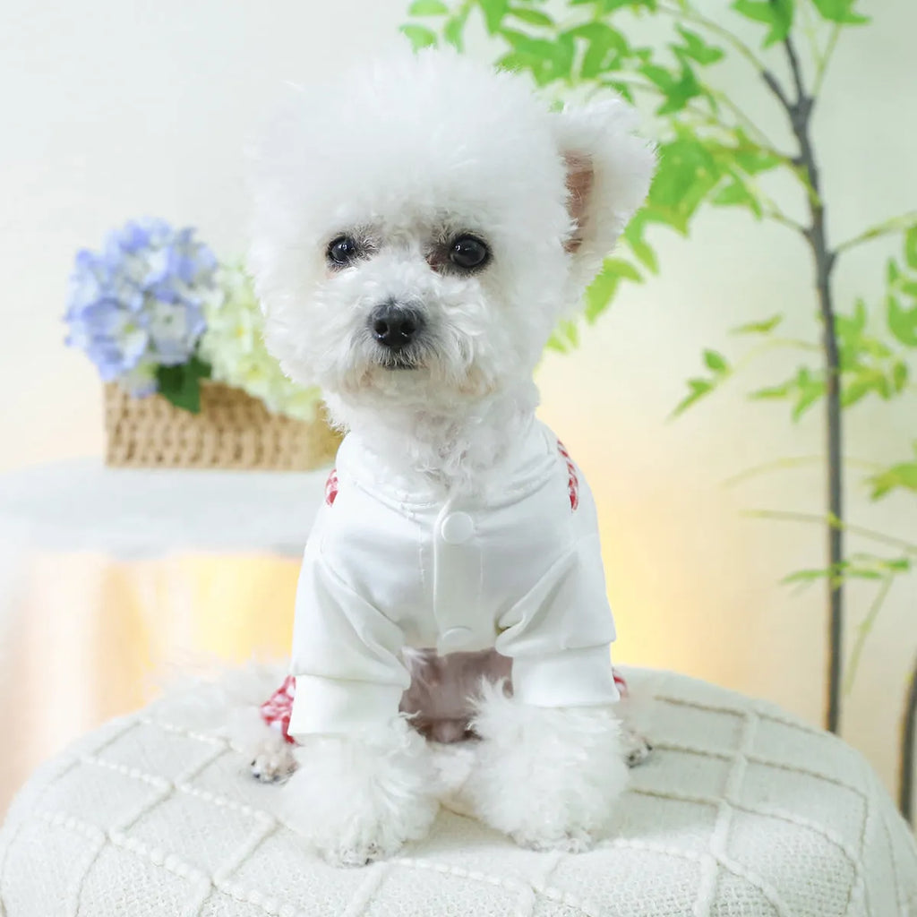 Fashion pet dog plaid overalls in black and white suspender style on a dog, polyester material