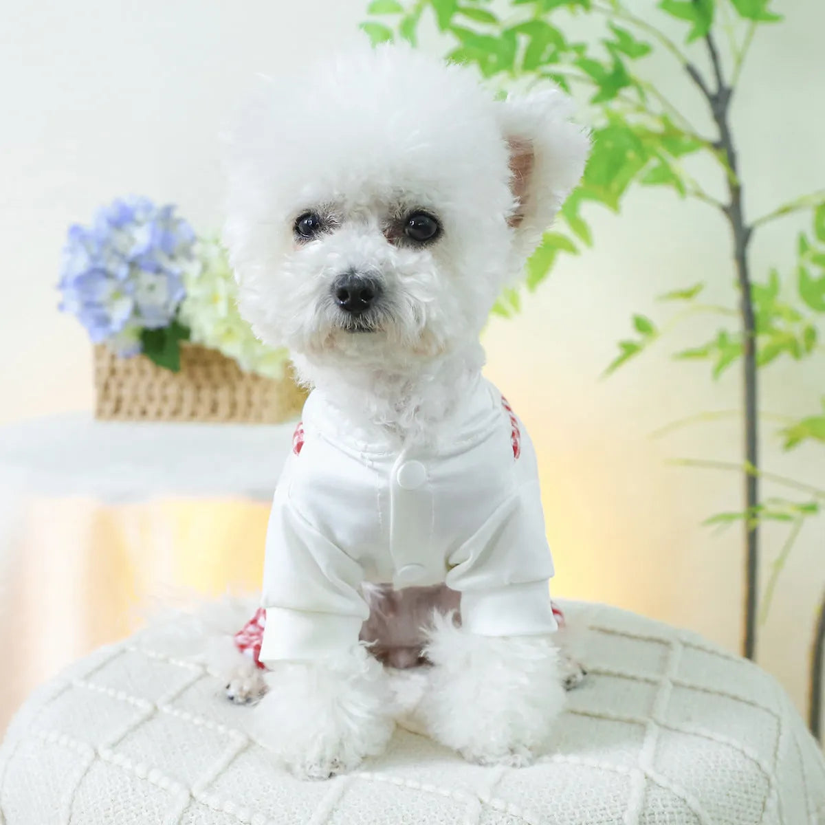 Fashion pet dog plaid overalls in black and white suspender style on a dog, polyester material