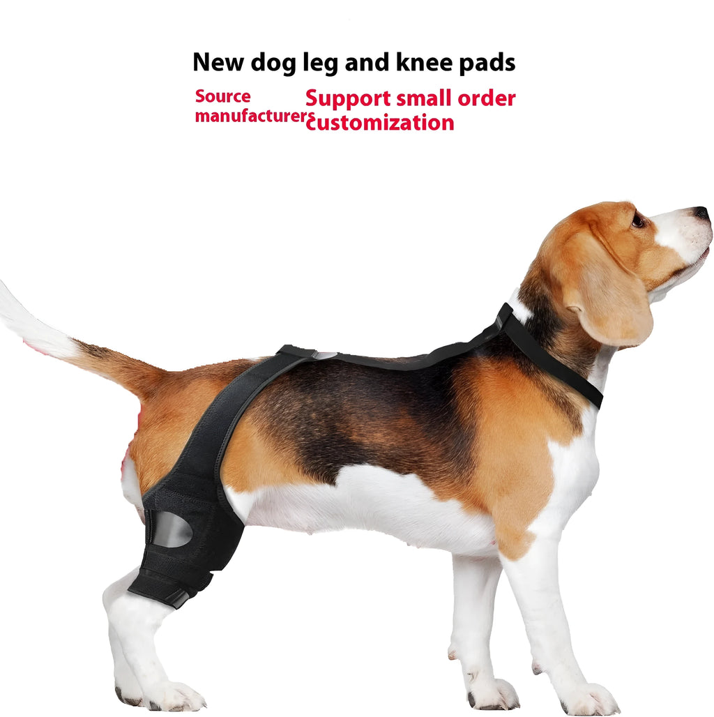 A neoprene dog hind leg knee brace assist strap shown in multiple colours including black, blue, and orange.