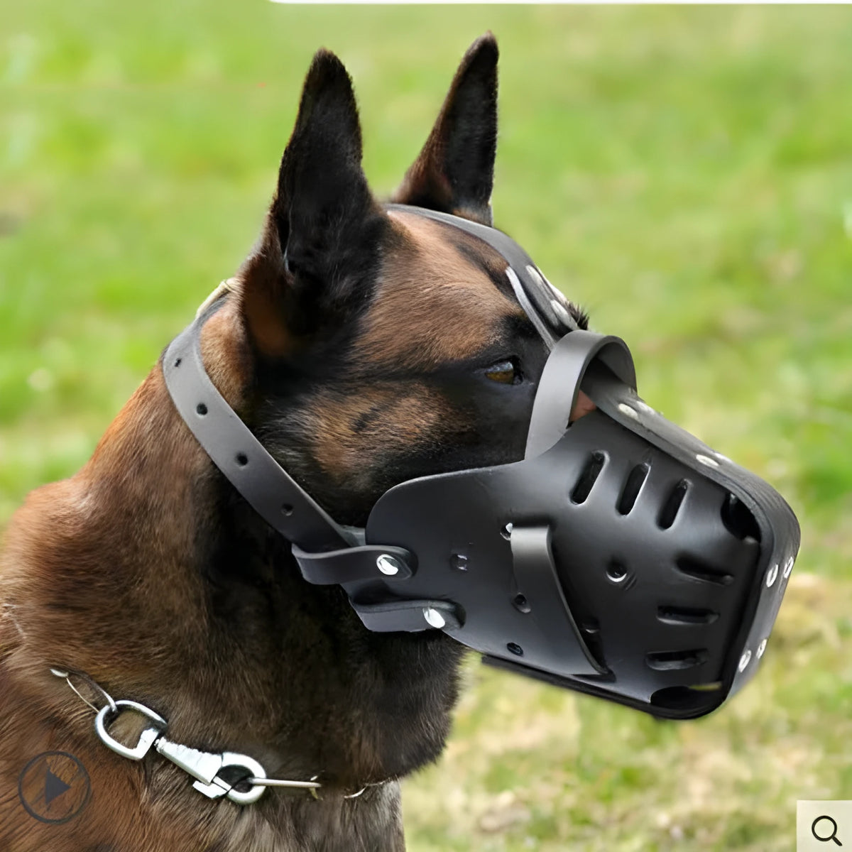 Black cowhide dog muzzle for medium and large dogs, basket design with soft lining, sizes L and M