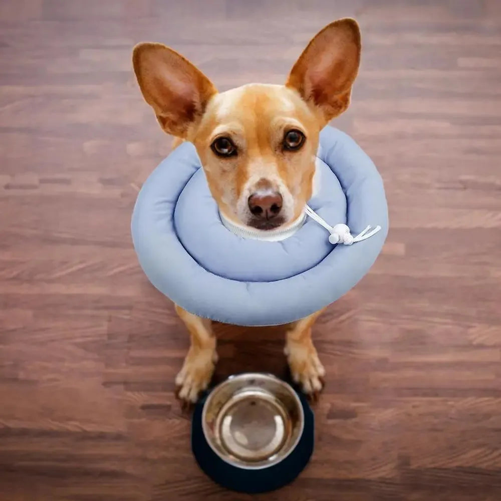 Blue waterproof Elizabethan recovery collar for dogs and cats with adjustable fastening