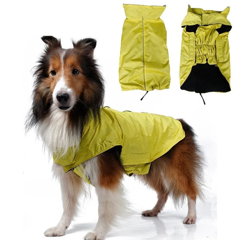 Waterproof dog vest in blue tarpaulin material on a dog outdoors in rain