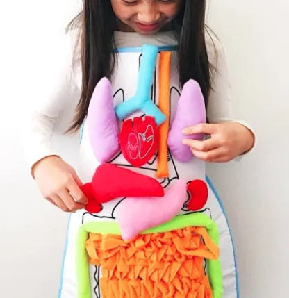 Green kids plush anatomy apron with movable body organs laid out on a table