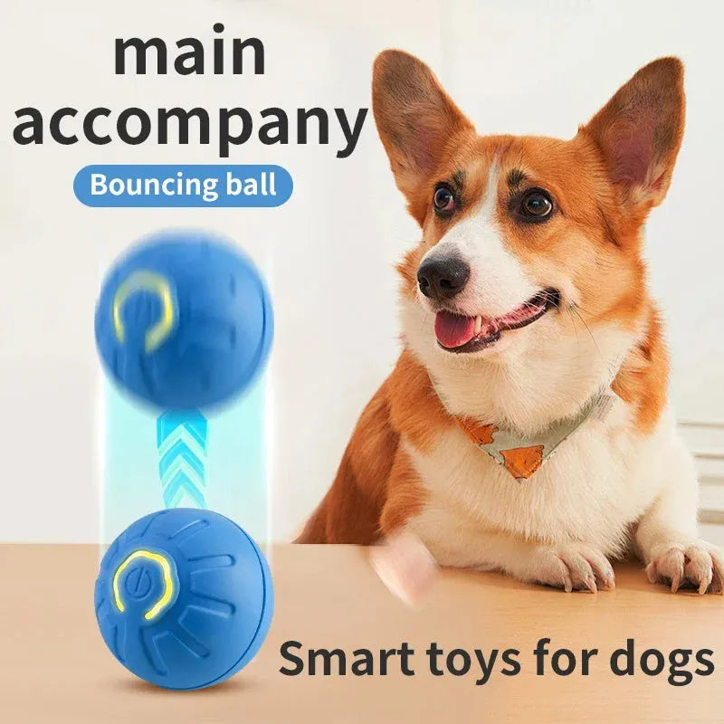 Smart interactive pet toy ball in blue, made from silicone and ABS, with USB charging port