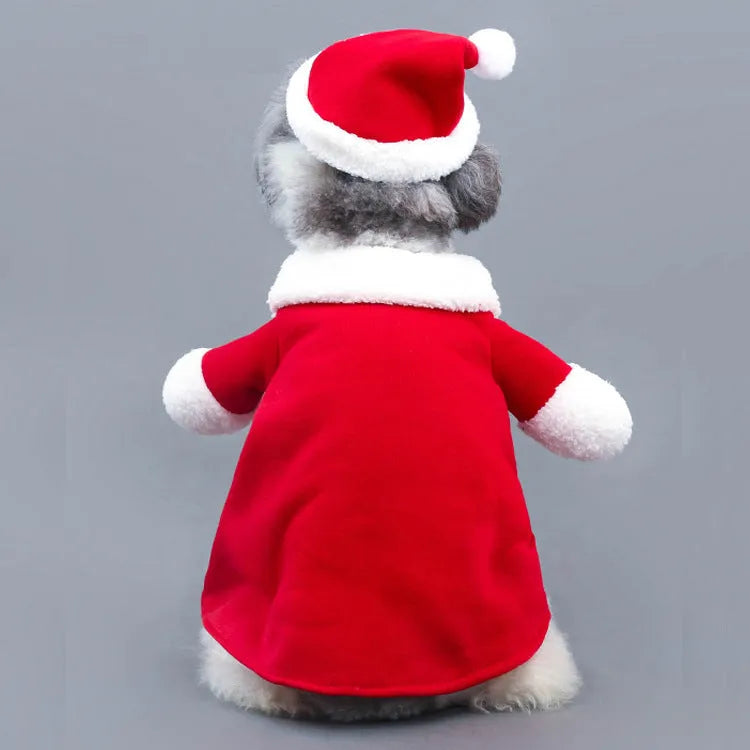 Red polar fleece Santa Claus costume for a small dog standing on a festive background.