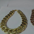 Gold-plated pet dog necklace with extender chain, gold finish, on a small dog