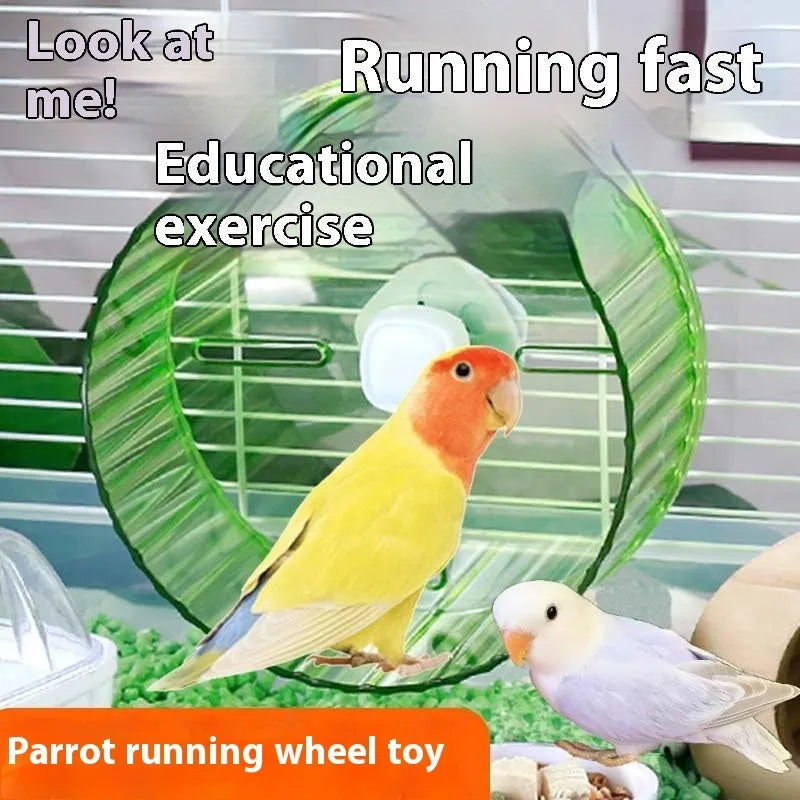 21cm transparent plastic parrot running wheel toy for bird exercise.