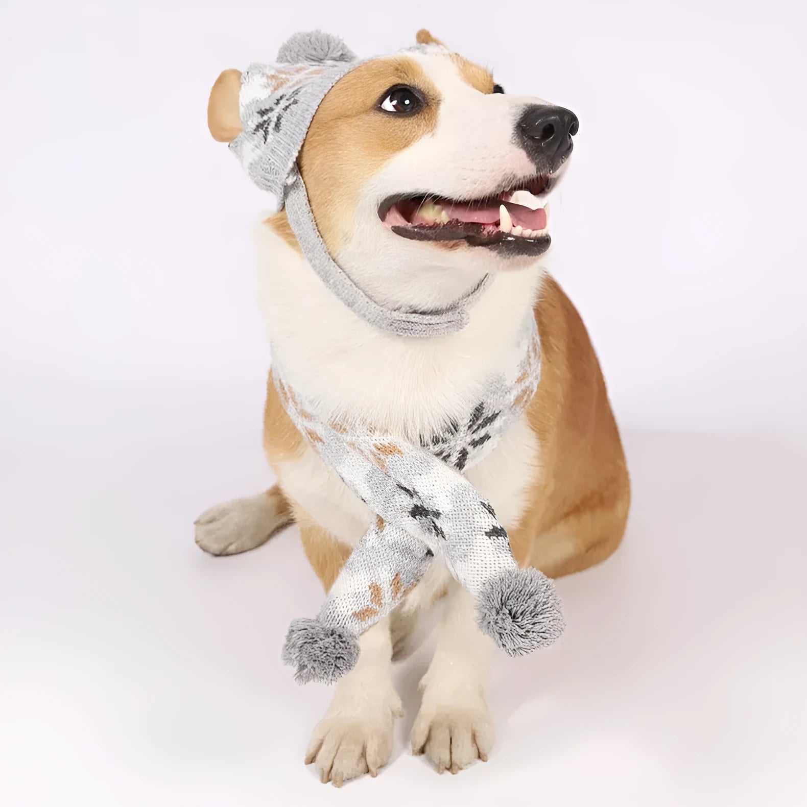 Japanese retro jacquard pet clothing set with sweater, hat, and scarf in grey and pink colour options