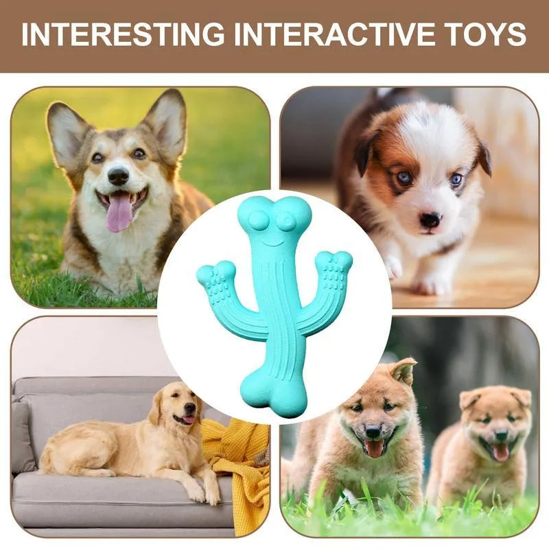 Cactus-shaped dog chew toy in bamboo fibre and rubber showing textured surface and cactus silhouette