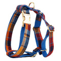 Four-piece gentleman bow dog collar set with cloth vest and matching leash in size options from XS to XL