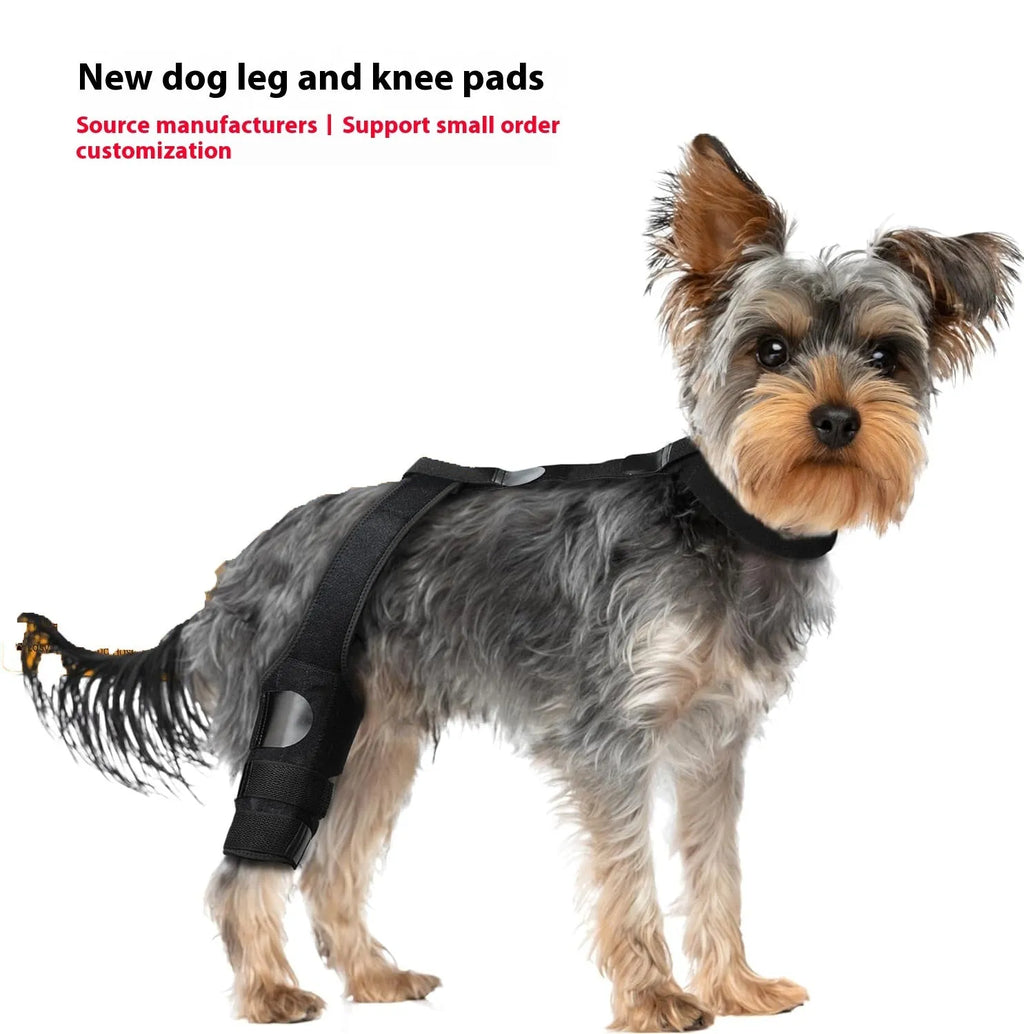 A neoprene dog hind leg knee brace assist strap shown in multiple colours including black, blue, and orange.