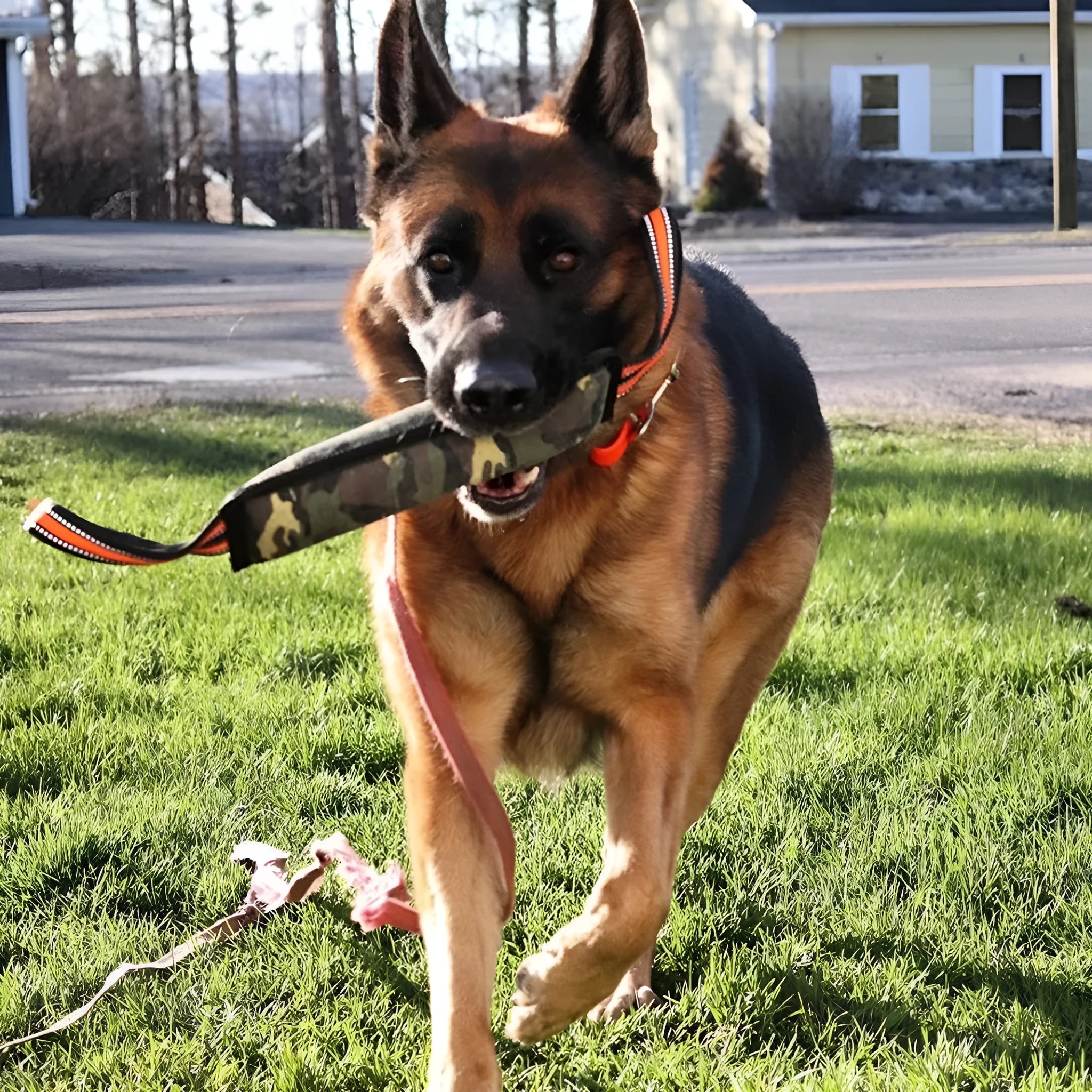 55cm long woven jute dog training bite stick with reflective yellow edge stitching
