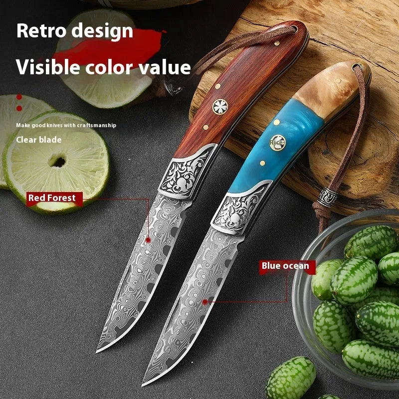 VG10 stainless steel folding portable mini outdoor knife with handmade national style craft in blue or red