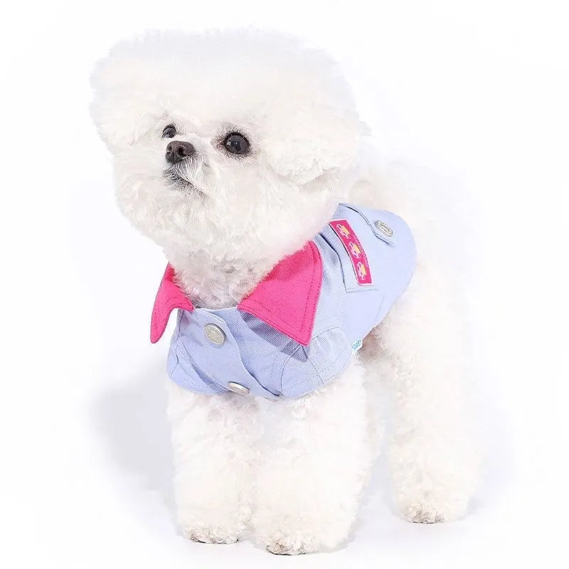 Blue and purple polyester vest for small dog with metal D-ring on chest.