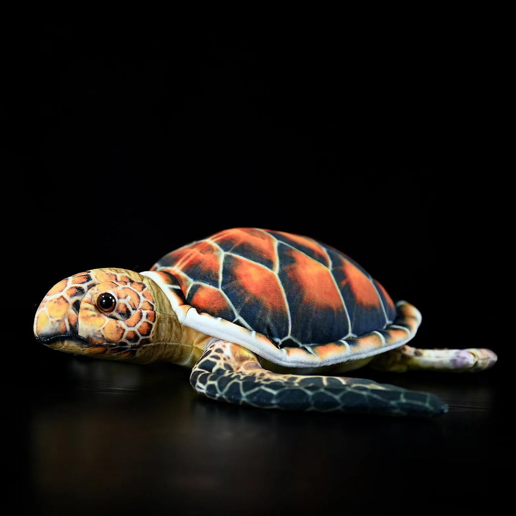 Brown turtle plush toy 32cm from mouth to tail with soft plush fabric and PP cotton filling