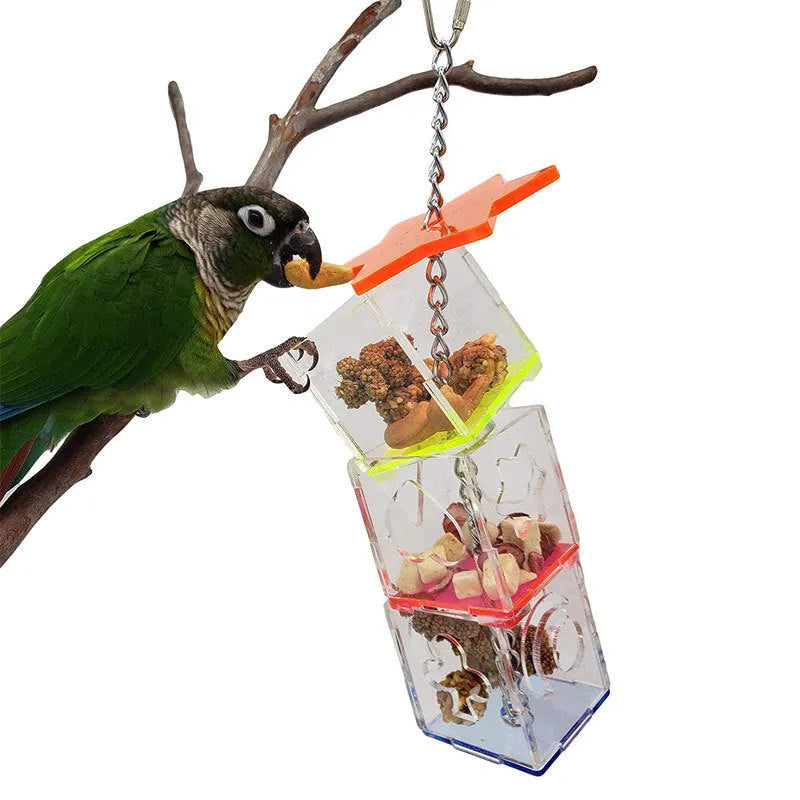 Clear acrylic parrot foraging toy measuring 5 cm by 5 cm by 32 cm with food hiding slots