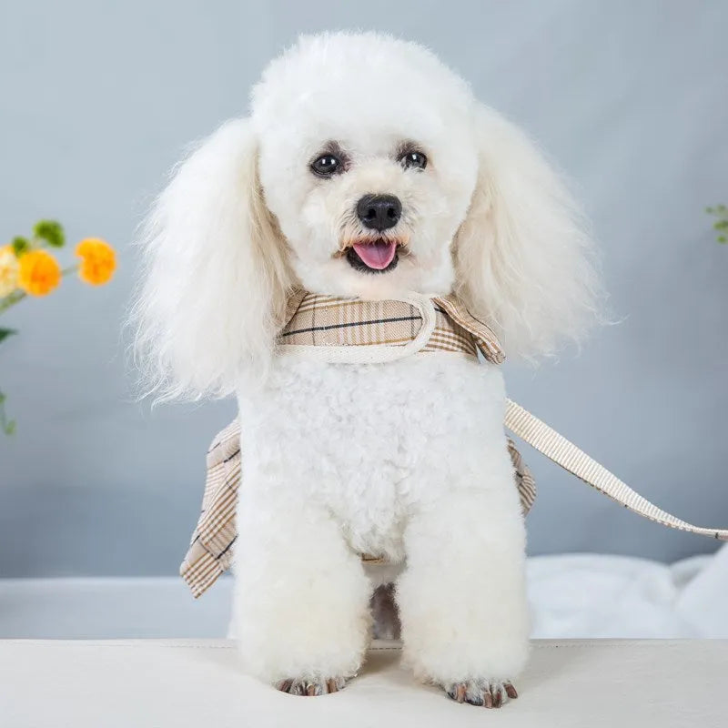 Polyester pet chest strap vest with hand-holding rope in milky white and purple colour options
