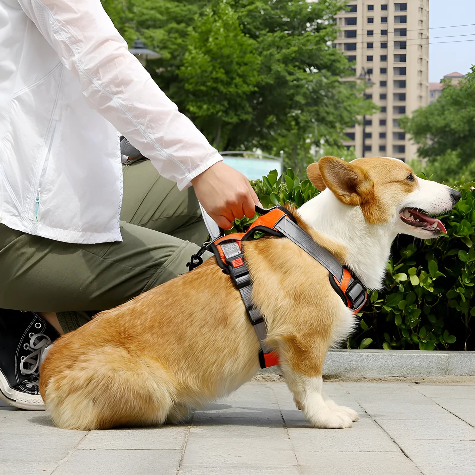 Polyester dog harness vest with hand-holding rope in multiple colour options