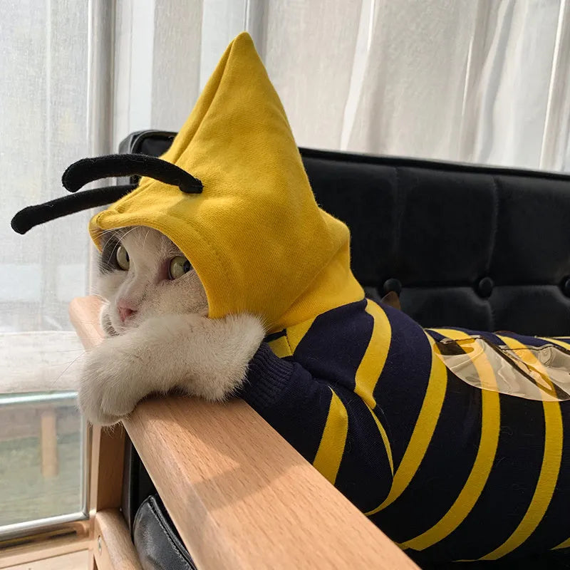 Yellow striped bee costume hoodie for bulldog pet winter jacket made of cotton plush material