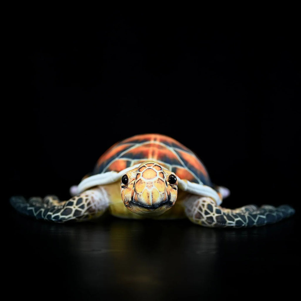 Brown turtle plush toy 32cm from mouth to tail with soft plush fabric and PP cotton filling
