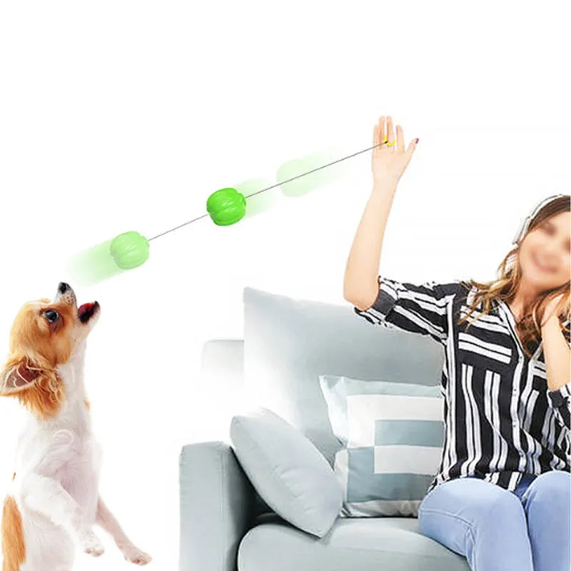 Orange plastic pumpkin-shaped dog chew toy with squeaker on a green background