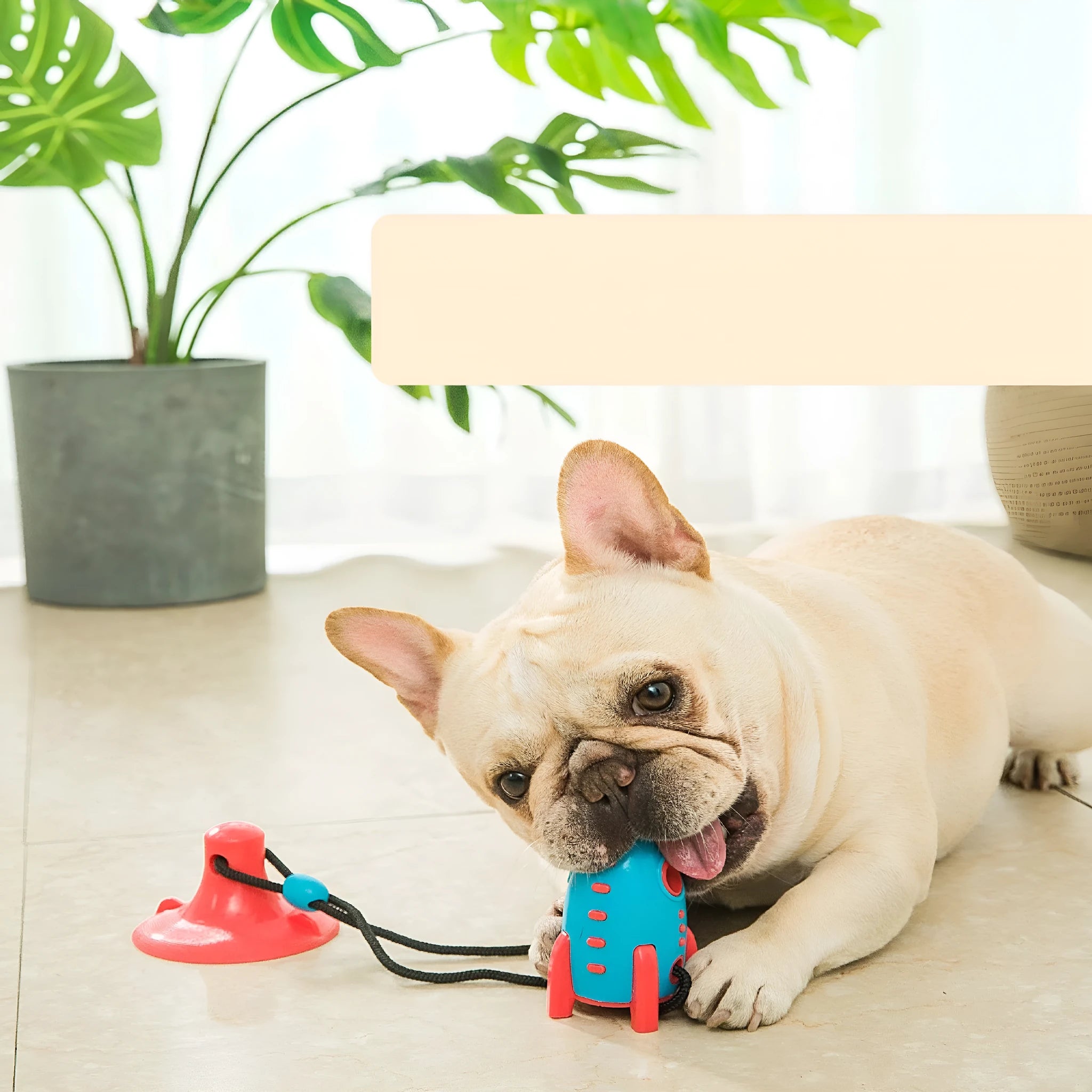 Rocket Dog Toys silicone dog bite toy with molar bumps, 200g weight, pink colour