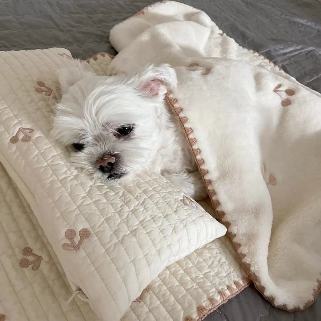 Simple bear print square dog bed set with pillow, mattress, and quilt on a floor.
