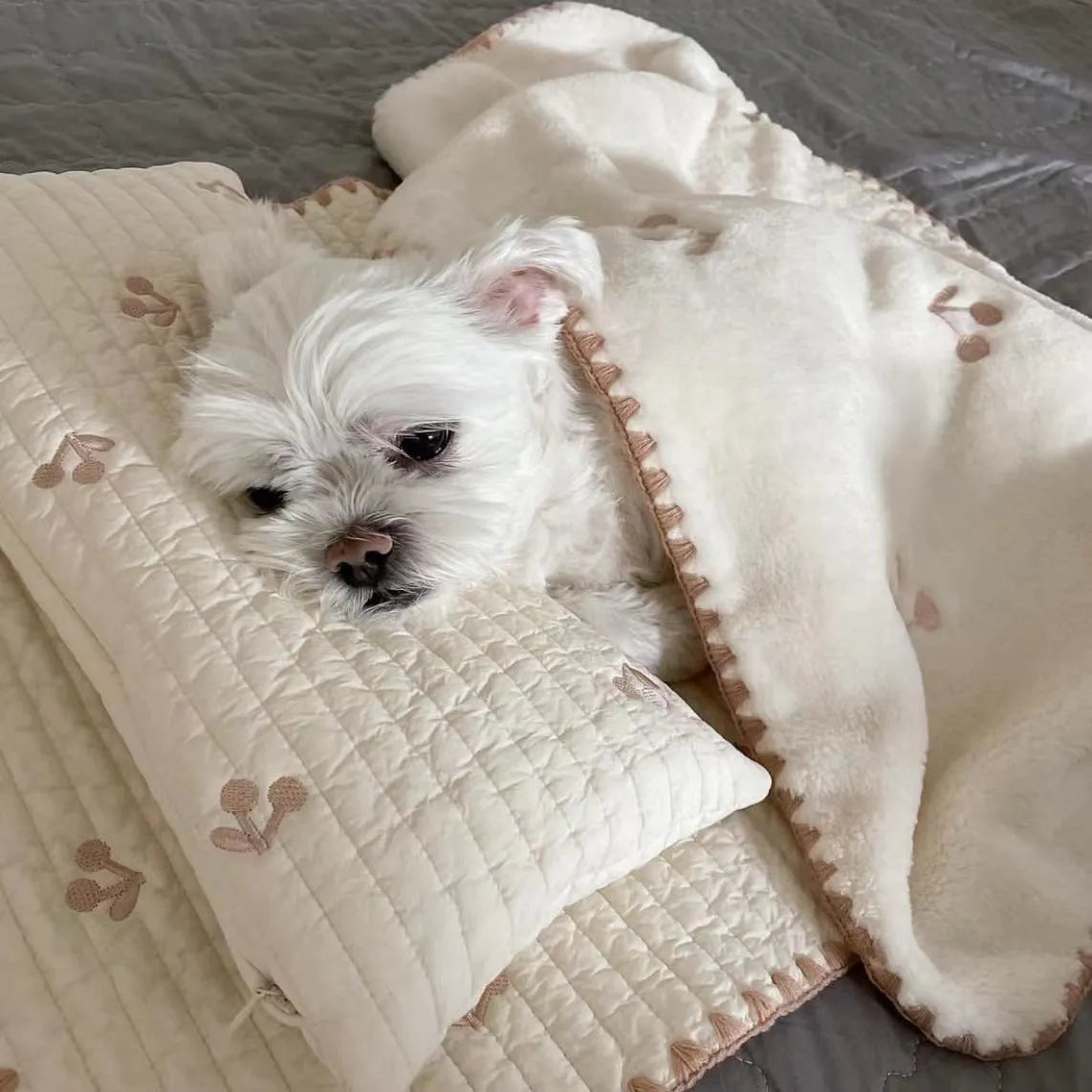 Simple bear print square dog bed set with pillow, mattress, and quilt on a floor.