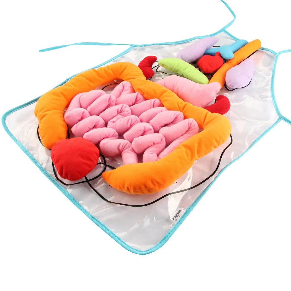 Green kids plush anatomy apron with movable body organs laid out on a table