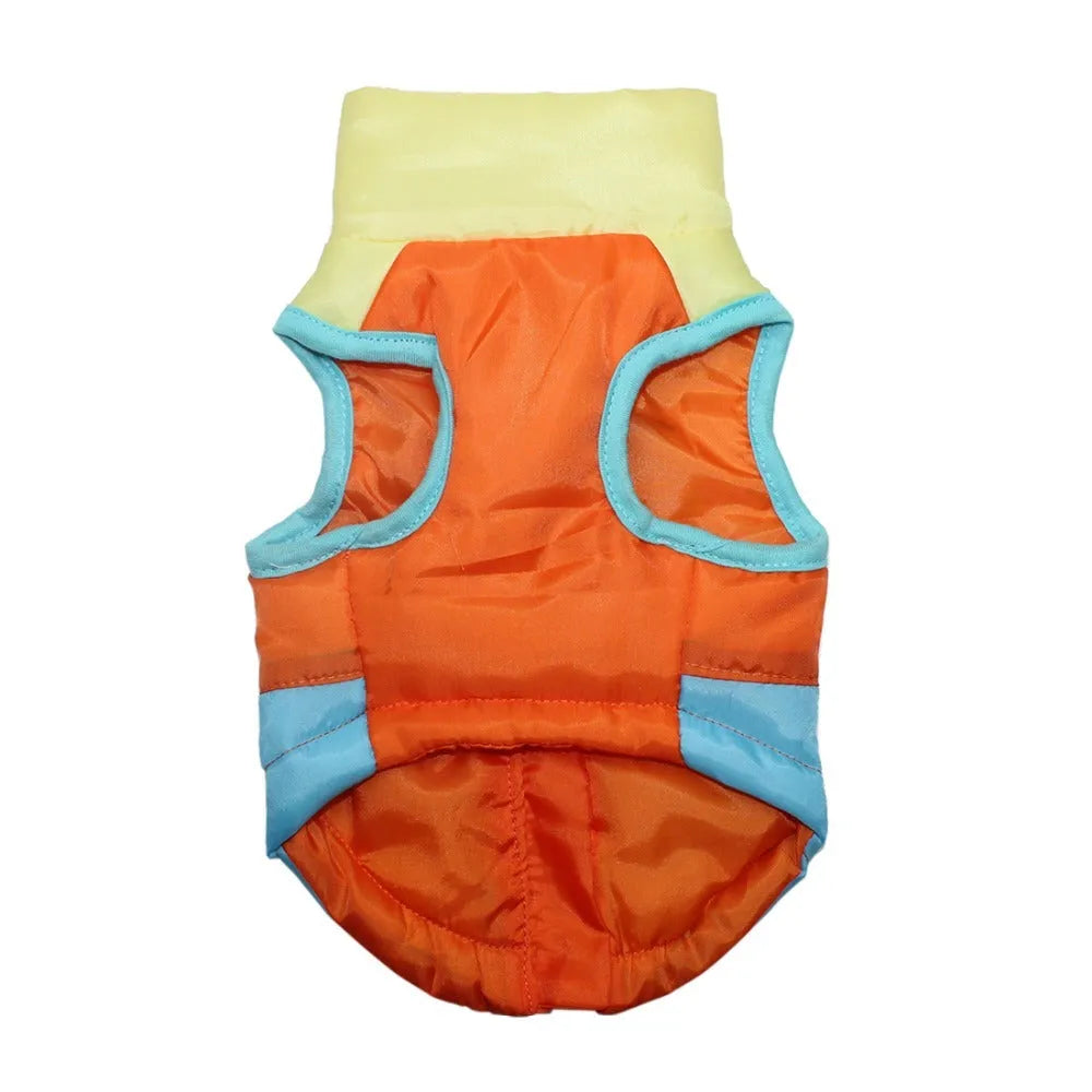 Autumn winter puppy jacket vest with traction buckle in striped pattern for small dogs, available in multiple colours