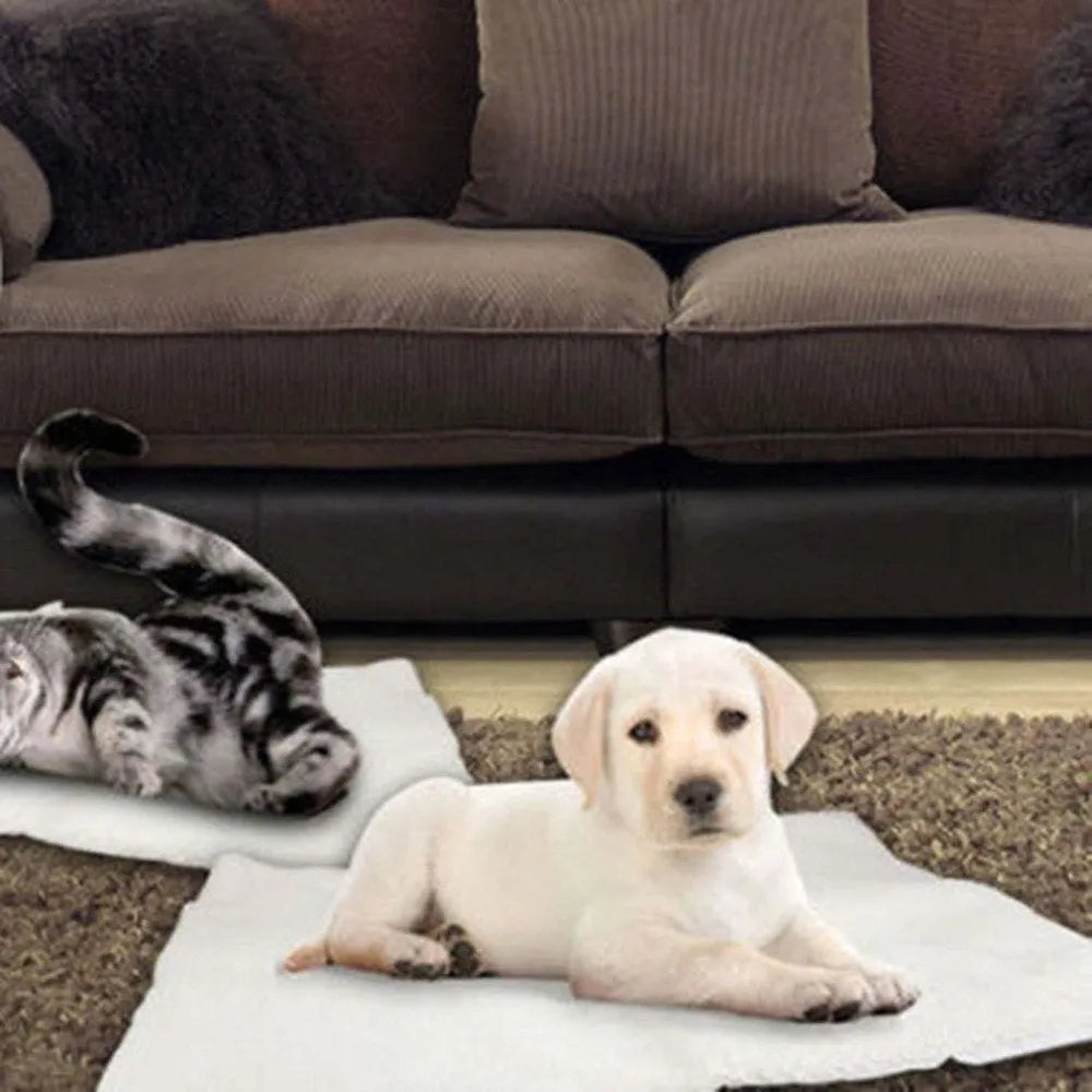 Beige self-heating pet blanket with faux lambswool on a dog bed, no electricity needed, size 64cm x 49cm