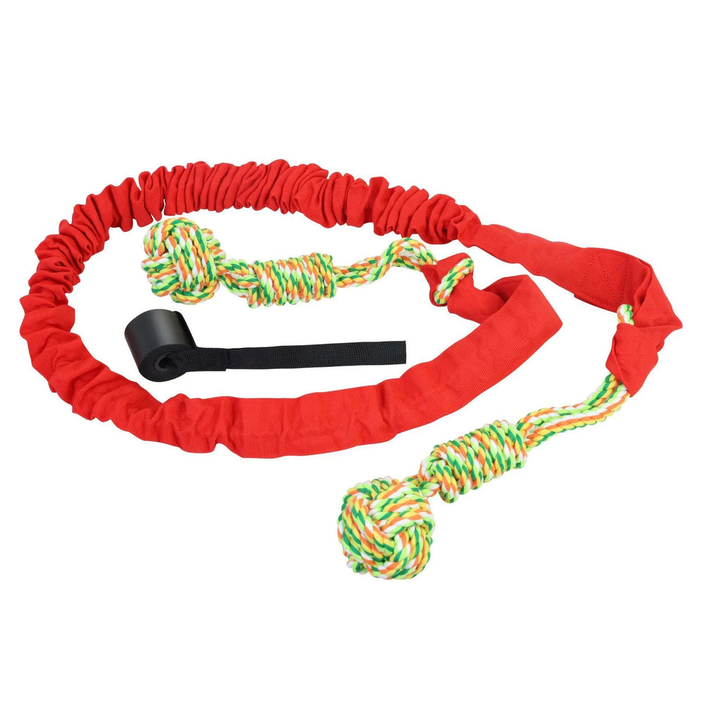 A black, grey, or red cotton rope dog tug of war toy for interactive play.