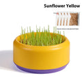 Blue hydroponic cat grass kit with soilless cup and five packs of seeds