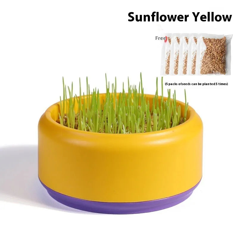 Blue hydroponic cat grass kit with soilless cup and five packs of seeds
