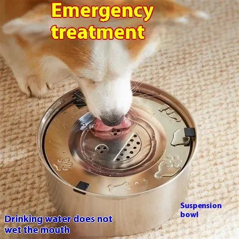 Silver stainless steel large capacity pet water bowl for dogs and cats with 304 material construction