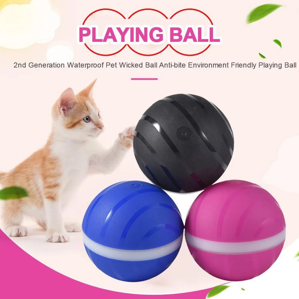 LED rolling flash ball pet toy in rubber with USB charging, shown in black, blue, and pink colour options