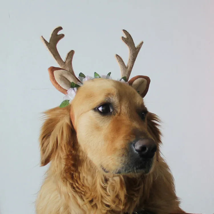 Christmas pet hat with short plush silk flower for cats and dogs, photo colour, size options