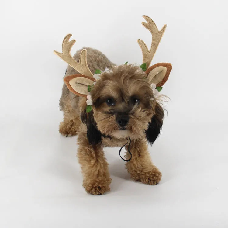 Christmas pet hat with short plush silk flower for cats and dogs, photo colour, size options