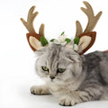 Christmas pet hat with short plush silk flower for cats and dogs, photo colour, size options