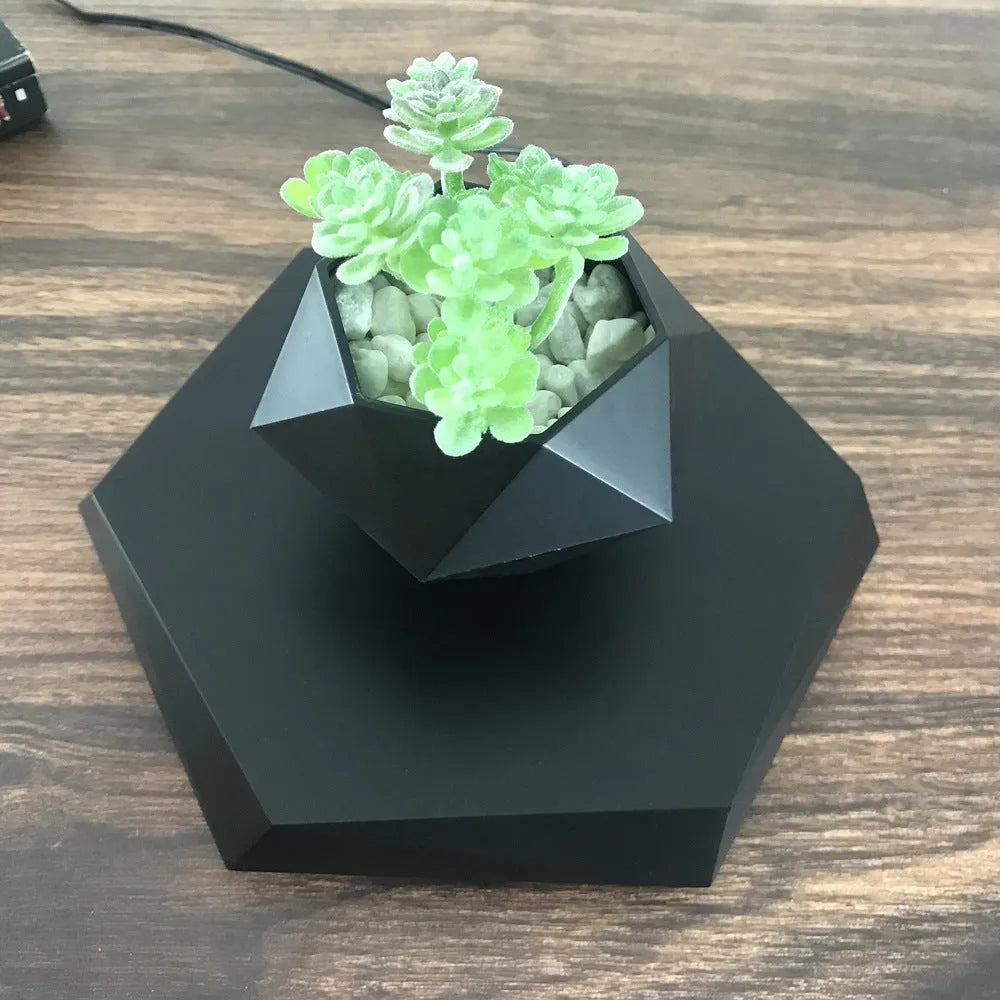 Hexagonal wood grain magnetic levitating flower pot floating above its base with a small air plant inside