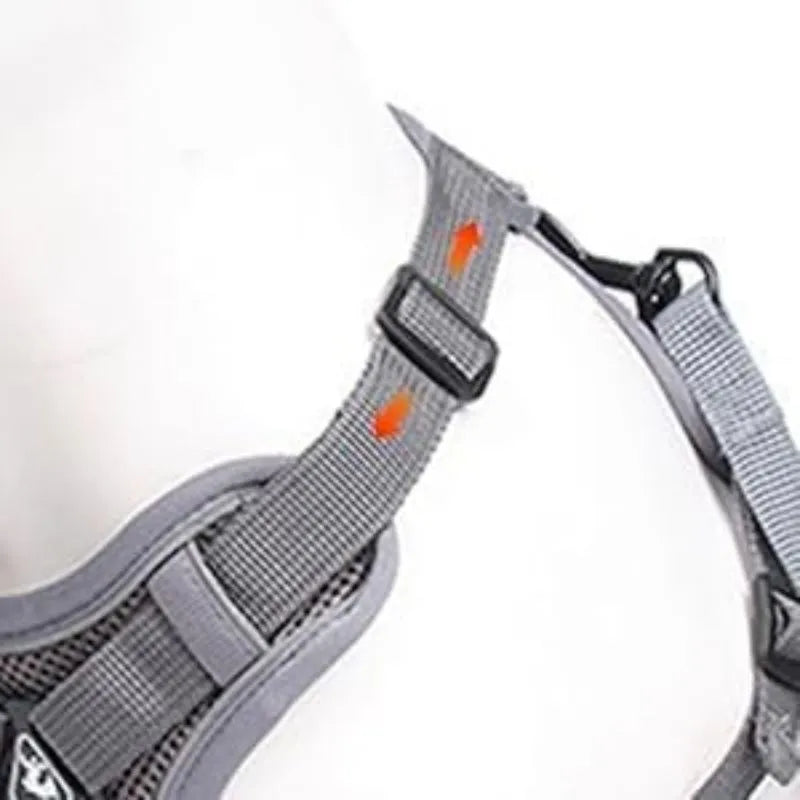 Blue adjustable mesh cat harness with reflective strips and leash for outdoor walks