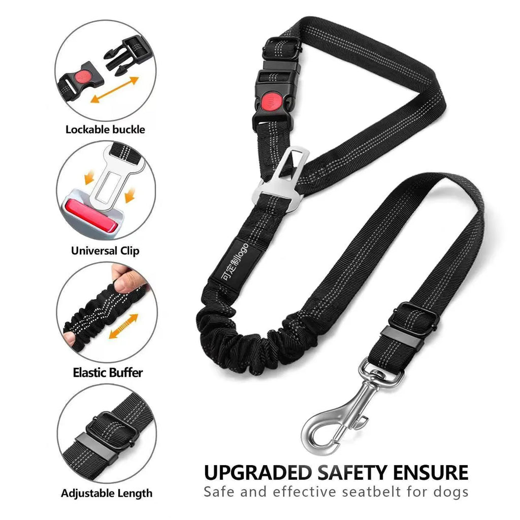 Nylon dog tow rope with metal buckle in multiple colour options on a white background
