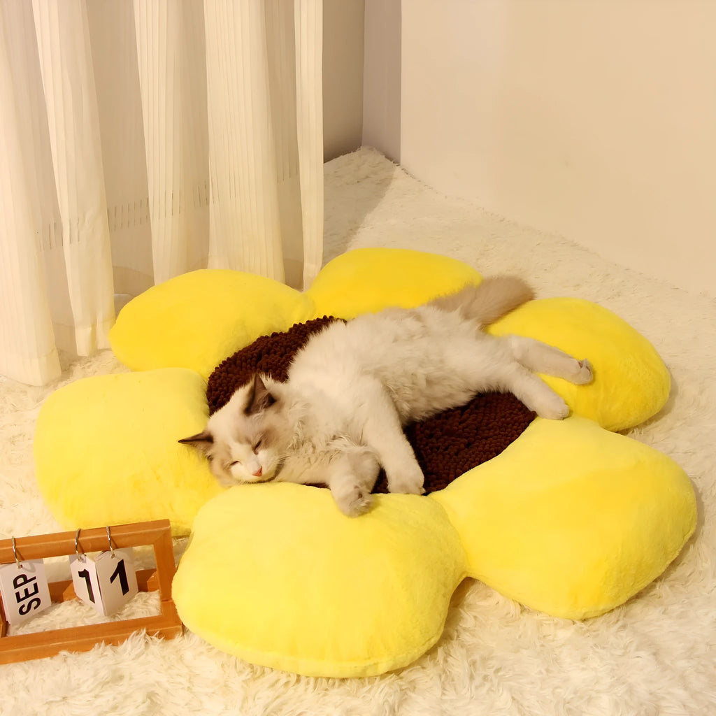 Blue round flower-shaped plush pet nest bed for cats on a wooden floor