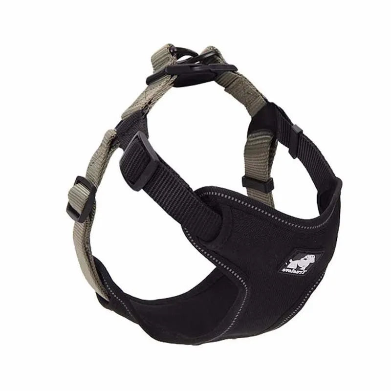 Dog leash collar in Oxford cloth with breathable mesh and zinc alloy clip, available in multiple sizes and colours